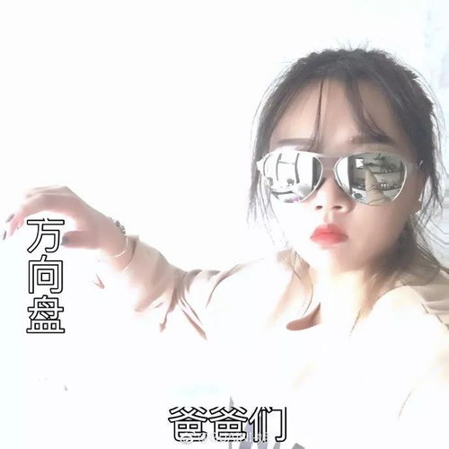 风水学视角：五行、 数字、动植物符号之融合应用