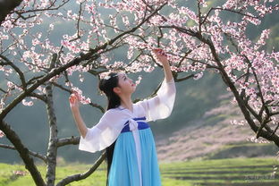 音乐作品《拜无忧》之文化传播效应分析