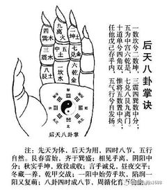 事业宫日月如何影响婚姻，父母宫日月角位置对婚姻有何影响？