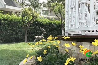 救命！这些树千万不能种错位置