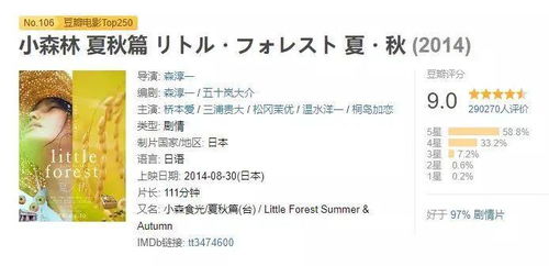 一、  语源溯源与表层含义解读