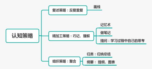 三、 学习路径及提升策略