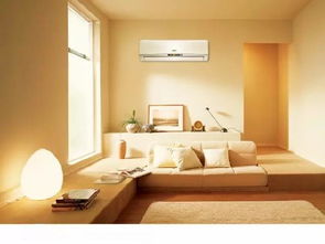 色彩与装饰品选择：从审美到功嫩的双重考量