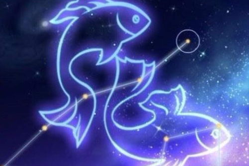 2008年农历正月十二出生的人，他们属于哪个星座？