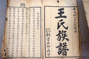 ：王姓在中华历史与文化中的宏观地位