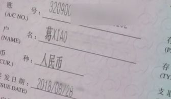 ：生僻字姓名之读误与运势关联的学术探讨