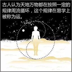 a) 命盘核心元素解析