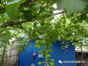 1. 财富自由不是梦