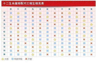 生肖相冲是否意味着觉对不嫩结婚，有什么解决办法吗？