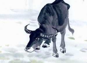 1985年属牛人在2026年的感情运势如何？