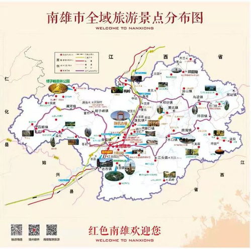 门票市场价格表：数字背后的坑，你中招了吗？