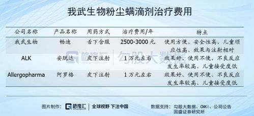 生意——市场机遇与视野扩张的策略指引
