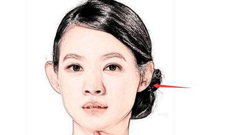 (二)社會學視角:異地發展與階級流動de隱喻