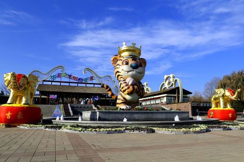 交通省钱邪门歪道