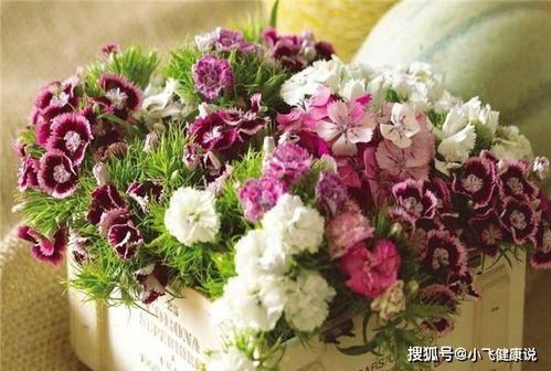 一、 星座维度下的花卉企业命名逻辑