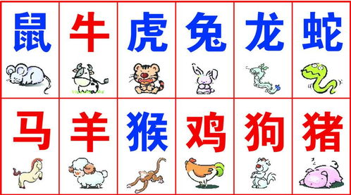 蛇马生肖感情运势如何？蛇马生肖对联完整意思是什么？