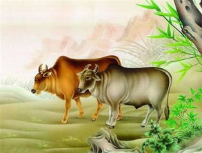 八字属水和金命的人相配吗？94年属狗与97年属牛八字是否相合？