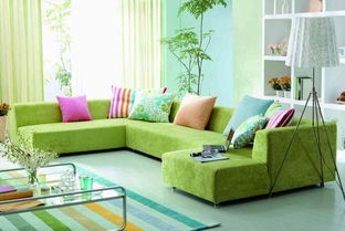 色彩搭配：营造和谐温馨的氛围