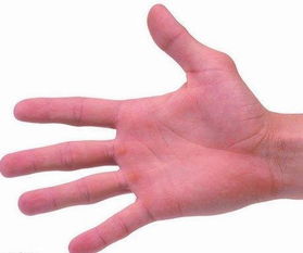 八字命理与志愿选择：顺势而为