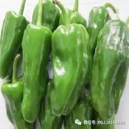 震惊！天天吃青椒的人更容易做这种梦！