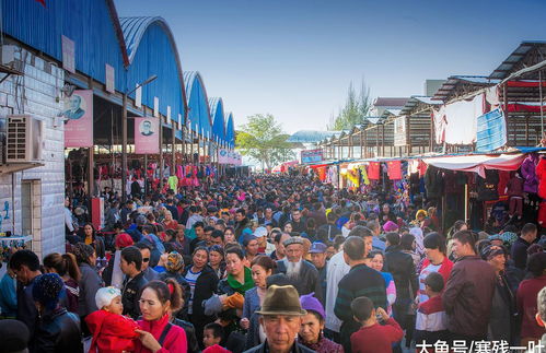 2026年6月6日出生的属狗人财运如何，那年的偏财运是不是会很旺？