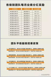 1. 子女总量及来源的初步统计