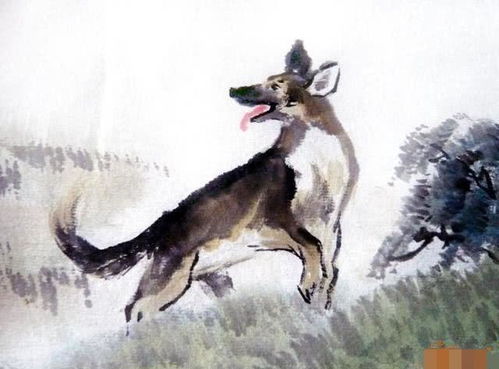 1994年属狗的人2026年会遭遇什么样的桃花劫？