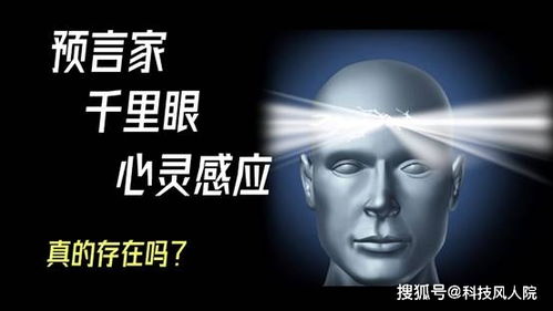 核心案例剖析