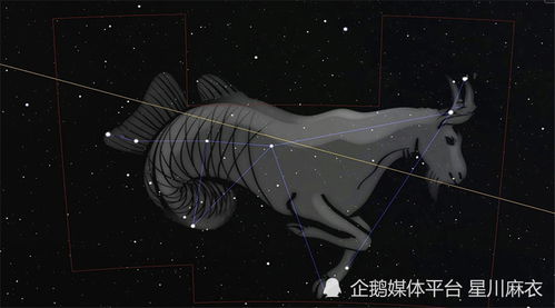情感氛围及人际互动分析