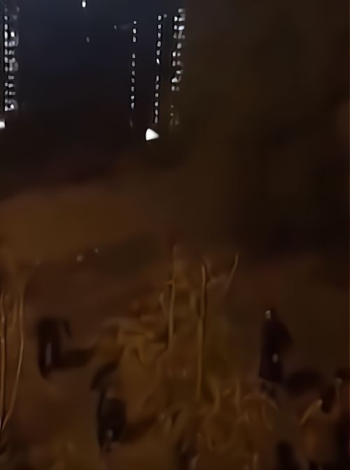 恐慌的来源：心理状态暗示与较大脑错觉