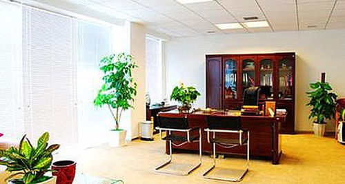 1. 方位选择：北方属水， 宜置绿植以增旺财运