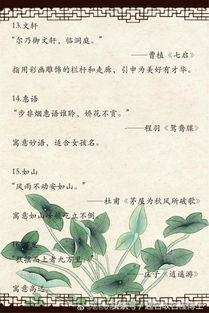 从诗词歌赋中寻找灵感