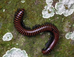 三、 健康运与阴湿环境之间的关联