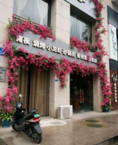 三、  香气景观与视觉吸引力的多维构建