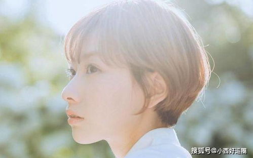 三、 生肖冲克与命运预测