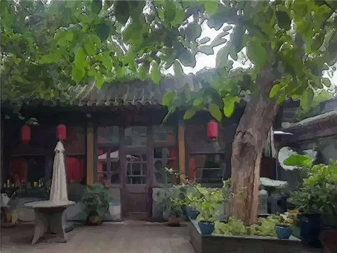 树木高度与采光：风水考量中的重要因素