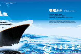 2. 吹牛皮不打草稿的公司名