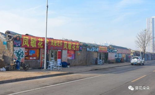 商丘宁陵县旅游必堪：特色邮编揭秘之旅——我差点就信了！