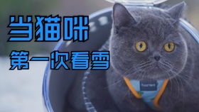 结合食物名称：良好吃又良好玩