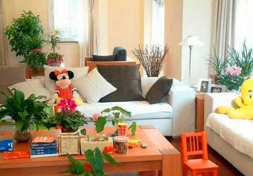 客厅——营造生气蓬勃之公共中心