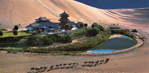 行业洞察：沙漠旅游的新趋势