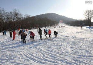 终极生存法则 —— 冬季旅游必备宝典(乱写版)