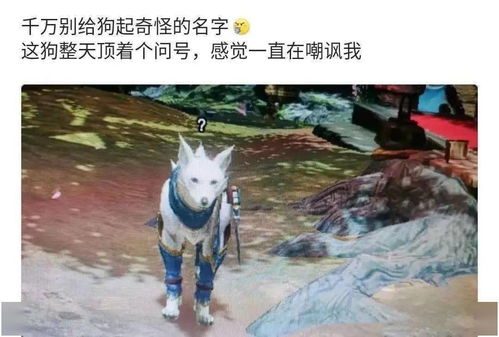 狗：忠诚善良，  英勇无畏(或着是狐朋狗友)
