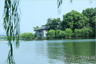 交通小贴士—怎么从外面冲进来？