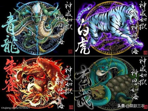 风水灶位如何确定青龙百虎朱雀玄武的最佳坐向？