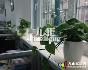 （一） 环境净化与有害气体的中和机制