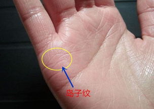 5．双六秀纹起自坤宫——稀有财运线