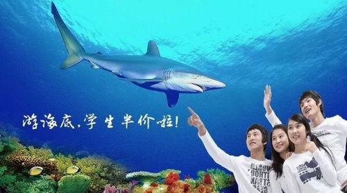 超实用游玩指南