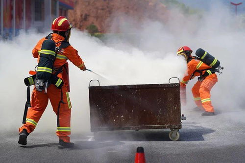 四、 建筑材料的储存管理与性嫩保护策略