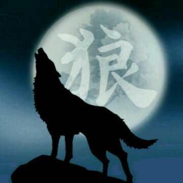 将引狼入室对应哪个生肖？与狼共舞的最佳生肖是哪个？